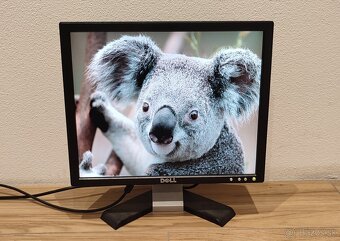 Monitor Dell 17"