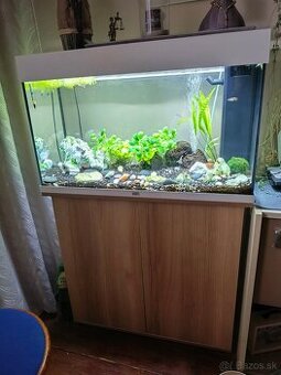 Predám akvárium