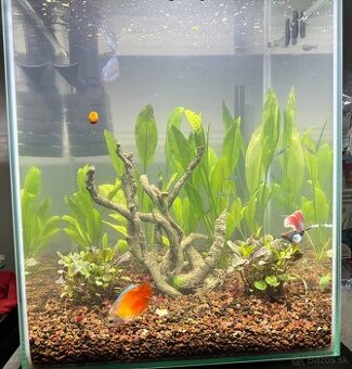 Aquael akvárium Shrimp set 30l
