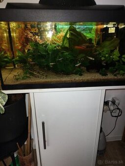 akvarium komplet