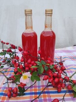 Šipkovy sirup na imunitu -čerstvé šípky - 1