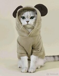 Oblečenie pre mačku/malého psíka s kapucňou