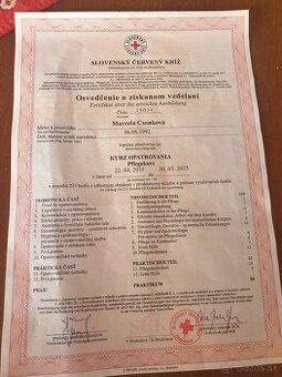 Zdravím hľadám ai pracu ako opatrovateľka v okolí