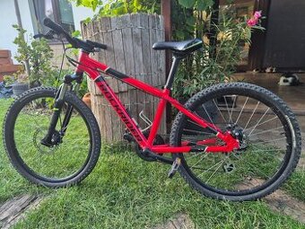 RockRider ST900 24"