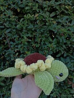 Háčkovaná korytnačka slnečnica