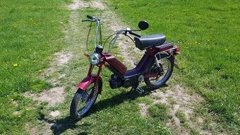 Predam babetu 210