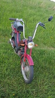 Predam babetu 210