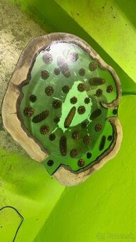 Epoxidová doska stola