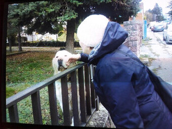 Výpomoc s domácimi prácami za ubytovanie.