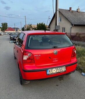 W polo - 1
