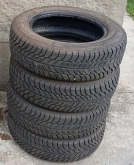 Zimné Sava 185/65 R15