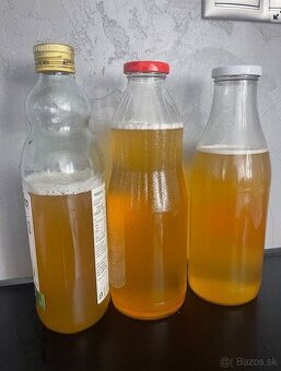 Kombucha - nápoj