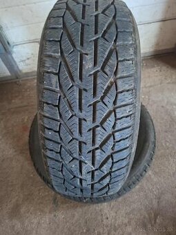 2ks zimné pneumatiky 205/55R16 91H Sebring