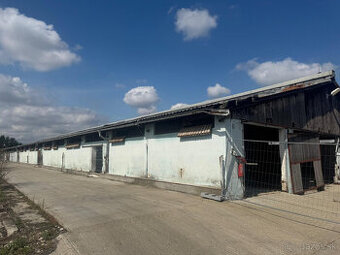 PREDÁM pozemok s Halou Trnava Velký dvor