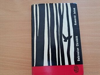 Hviezdoslavova knižnica – Slovenský rad