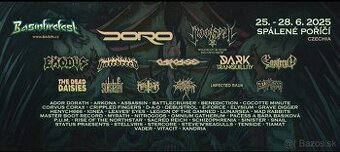 Basinfest vstupenka