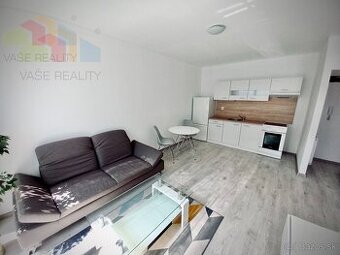 PRENÁJOM  Bánovce nad Bebravou  / 1 IZBOVÝ VEĽKOMETRÁŽNY BYT - 1