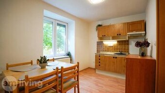 NOVINKA - 1i tehlový byt v centre N. Dubnice - 29m²