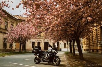 Predam nadhernu harley davidson panamerica 1250