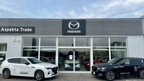 Autoklampiar a autoelektrikár