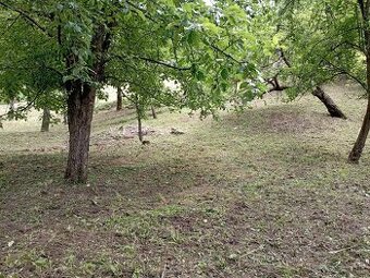 Pozemok v Krásnohorskej Dlhej Lúke