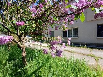 NA PREDAJ 3-IZBOVÝ BYT, 73 M2, TURÁ LÚKA, okres MYJAVA