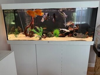 Komplet zabehnuté akvárium 450l