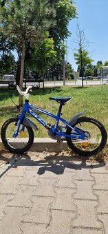 CTM Tommy 16"