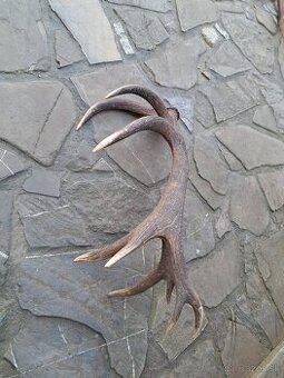 5,2 kg zhod parohy parozie