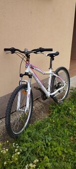 Kellys vanity 26"
