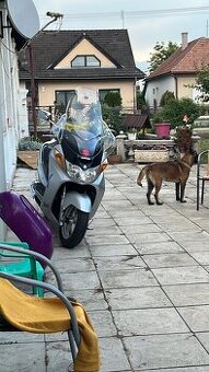 suzuky burgman 400