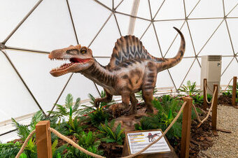 DINOPARK – kupola + 3 kontajnery + 11 dinosaurov