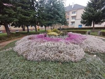 2 izbový byt na Starej Turej
