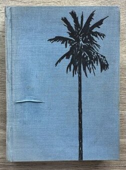800 MÍĽ PO AMAZONE Jules Verne za 5EUR