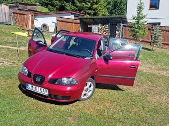 Seat ibiza - 1