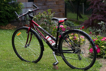 DEMA Merano dámsky bicykel