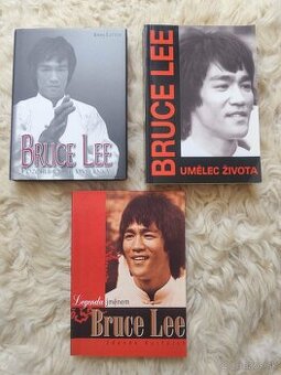 Legenda jménem Bruce Lee, Umělec života Bruce Lee, Pozoruhod