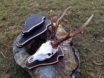 Podložky srnec jeleň