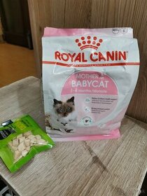 Granulove krmivo Royal Canin pre malé mačiatka a ich mamy