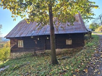 Stará pôvodná drevenica na polosamote pri lese