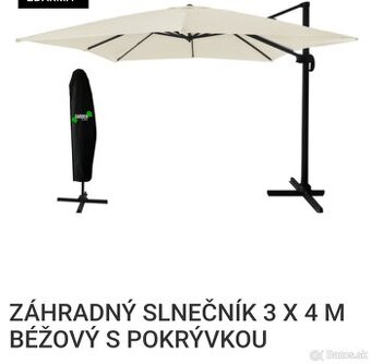Slnečník