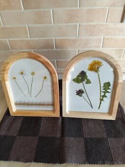 Sušené kvietky v obrazkoch