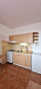 Prenájom 1 izbového bytu v Leviciach