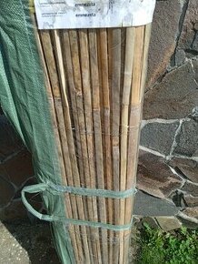 Predám okrasný plot bambus - 1