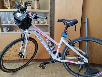 Bicykel