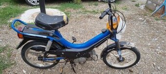 Manet korado - 1