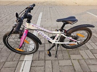 Bicykel Author Record 20
