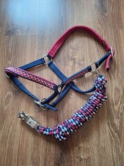 Ohlávka shetty, shetland