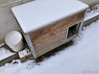 Predám budú po jack russelovi