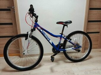 Juniorský bicykel DEMA 24"